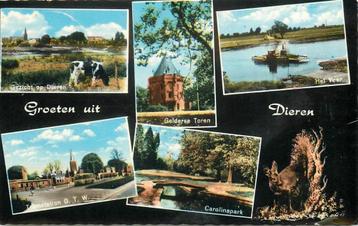(387-238-025) Dieren Groeten uit beschikbaar voor biedingen