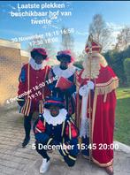 Huisbezoek sint en piet, Diversen, Ophalen of Verzenden