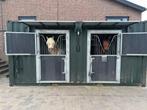 Container stal te koop!, 2 of 3 paarden of pony's, Stalling