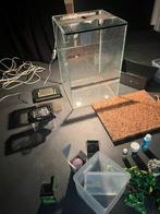 Terrarium met toebehoren, Ophalen, Gebruikt, Terrarium of Paludarium