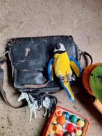 2 tassen, cactus, biljartballen en knuffel papagaai, Ophalen of Verzenden, Gebruikt