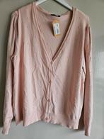 Nieuw roze vest van YokYok, YokYok, Maat 46/48 (XL) of groter, Nieuw, Ophalen of Verzenden