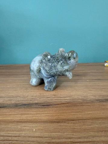 Mosagaat olifant beschikbaar voor biedingen