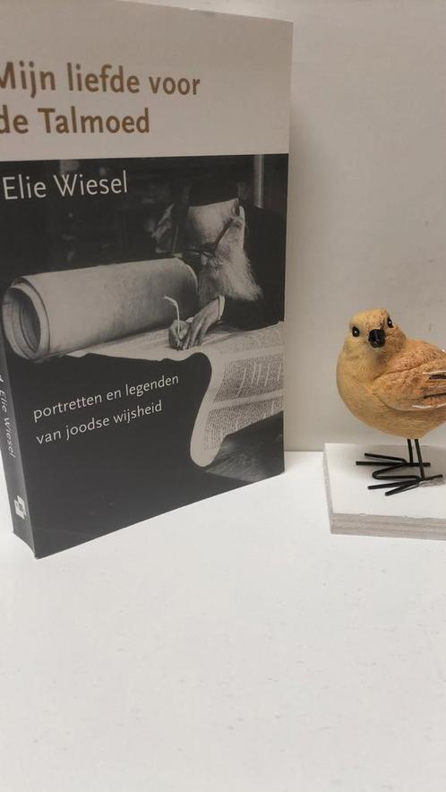 Wiesel, Elie; Mijn liefde voor de Talmoed, Boeken, Godsdienst en Theologie, Gelezen, Jodendom, Ophalen of Verzenden