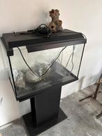 Aquarium, Dieren en Toebehoren, Vissen | Aquaria en Toebehoren, Ophalen, Gebruikt, Leeg aquarium