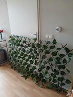 Groot heg met klimop, Huis en Inrichting, Kamerplanten, Ophalen of Verzenden, Halfschaduw, 200 cm of meer