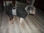 Nieuw Super stoer warm honden jasje voor in de winter, Ophalen of Verzenden, Nieuw