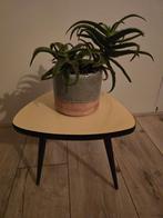 Vintage Formica Interieur Parels Jaren 60, Verzamelen, Retro, Ophalen