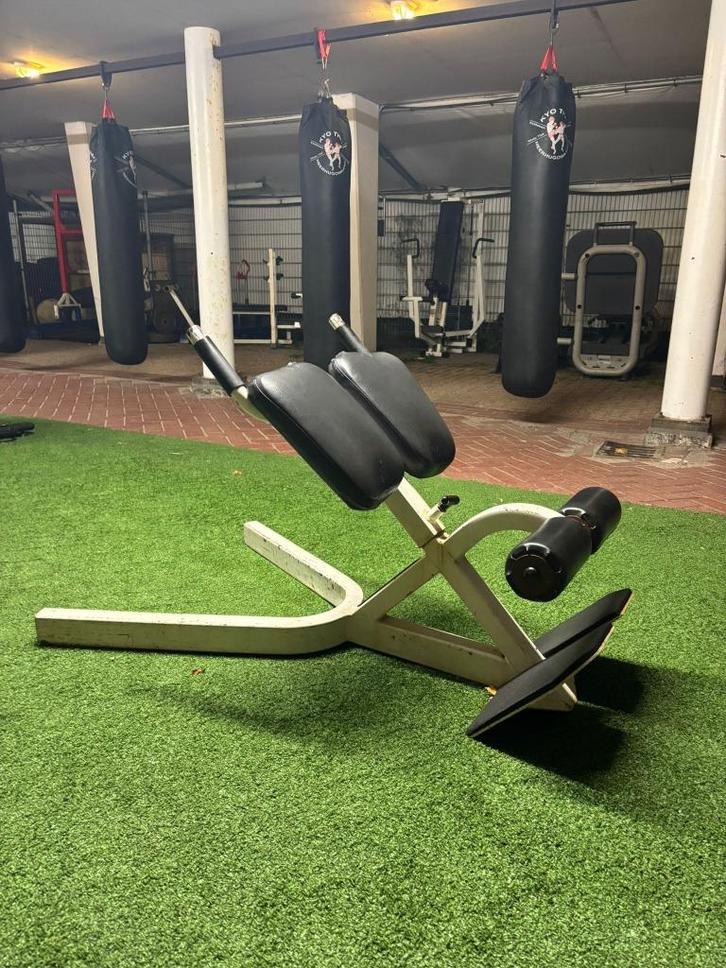 Hyperextension/Back Extension, Sport en Fitness, Fitnessmaterialen, Gebruikt, Fitnessbank, Benen, Rug, Ophalen