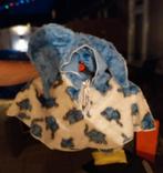 48 x Lekker warme olifanten cape leuk voor groepen, Kinderen en Baby's, Carnavalskleding en Verkleedspullen, Ophalen of Verzenden