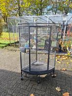 Papagaaien hoek kooi, Dieren en Toebehoren, Ophalen, Gebruikt, Metaal, Vogelkooi