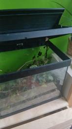 Bak met wandelende takken, Dieren en Toebehoren, Ophalen of Verzenden, Zo goed als nieuw, Leeg aquarium