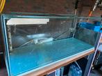 Aquarium 1.60 x 60 x 60 volglas, Dieren en Toebehoren, Gebruikt, Ophalen, Leeg aquarium