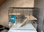 Hamsterkooi met accesoires, Dieren en Toebehoren, Kooi, Gebruikt, Minder dan 75 cm, Hamster