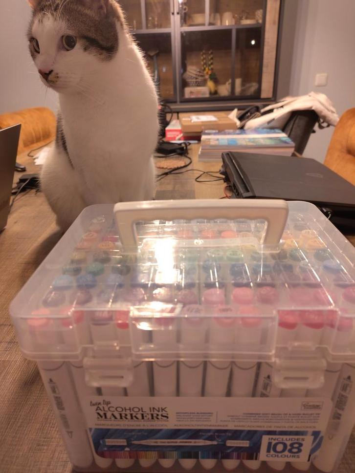 Twin Tip Alcohol Ink Marker Case (Includes 108 Colours), Hobby en Vrije tijd, Tekenen, Nieuw, Potlood of Stift, Ophalen of Verzenden