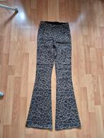 Red Rouge broek maat S NIEUW, Kleding | Dames, Bruin, Ophalen of Verzenden, Zo goed als nieuw, Lang