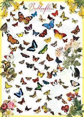 Eurographics - Butterflies - 1000 stukjes beschikbaar voor biedingen