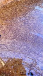 Australische eucalyptus burl uniek, Huis en Inrichting, Ophalen, Nieuw, Binnen