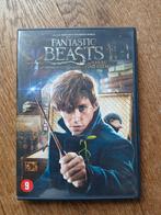 Dvd fantastic beasts and where to find them, Vanaf 9 jaar, Ophalen of Verzenden, Zo goed als nieuw
