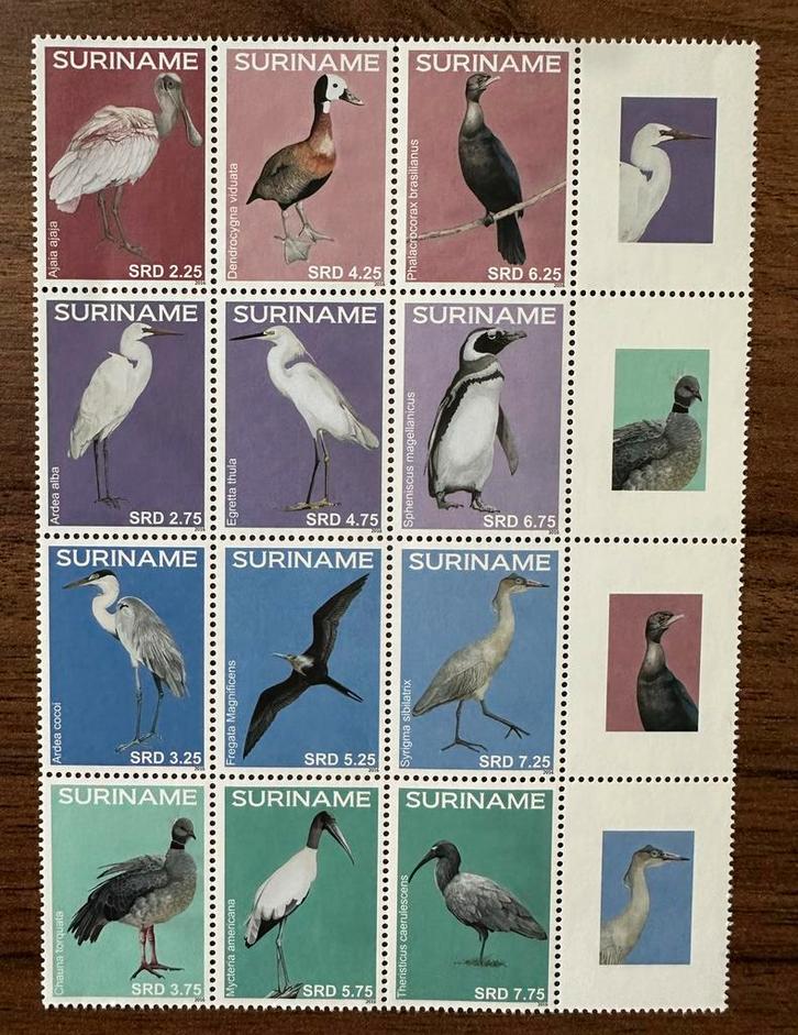 Suriname postzegels Vogels 2016 Postfris, Postzegels en Munten, Postzegels | Suriname, Postfris, Ophalen of Verzenden