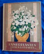 Verkadealbum - KAMERPLANTEN - 1928, Boeken, Prentenboeken en Plaatjesalbums, Gelezen, Ophalen of Verzenden, A.J. van Laren