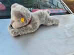 Steiff hondje, Ophalen of Verzenden, Gebruikt, Hond