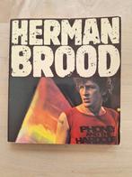 Herman Brood - Theo Stokkink, Boeken, Ophalen of Verzenden, Gelezen, Theo Stokkink, Kunst en Cultuur