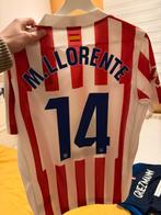 Voetbalshirt collectie, Ophalen of Verzenden, Zo goed als nieuw, Buitenlandse clubs, Shirt