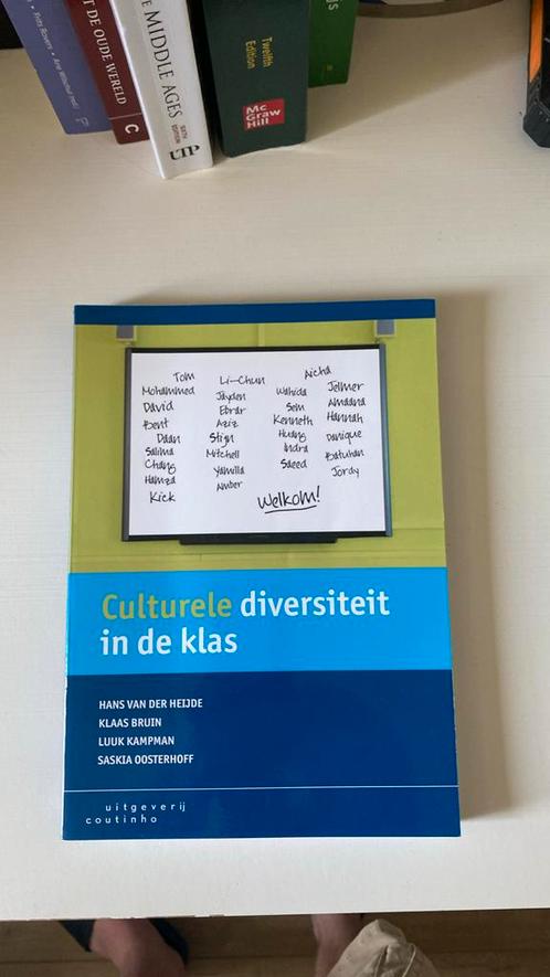 Hans van der Heijde - Culturele diversiteit in de klas, Boeken, Wetenschap, Zo goed als nieuw, Sociale wetenschap, Ophalen of Verzenden