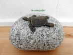259* Bronzen schildpad op kei (Boven €75 geen verzendkosten), Tuin en Terras, Tuinbeelden, Nieuw, Overige materialen, Ophalen of Verzenden