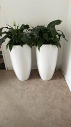 Twee planten potten wit, Ophalen, Kunststof, 40 cm of meer, Rond