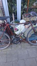 Mooie fiets - Opknapper, Ophalen, Gebruikt, Michelin