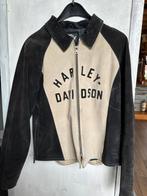 Harley Davidson suède jas maat L (40), Ophalen of Verzenden, Tweedehands, Jas | leer