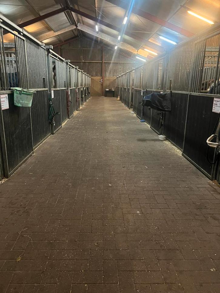 Plek in eemnes, Dieren en Toebehoren, Stalling en Weidegang, Weidegang