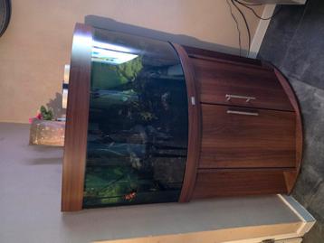 Mooi hoek aquarium  beschikbaar voor biedingen