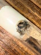 Termieten paar met werksters, Ophalen of Verzenden, Minder dan 10 m²