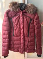 Superdry dames jas bordeauxrood maat M origineel, Superdry, Zo goed als nieuw, Rood, Ophalen