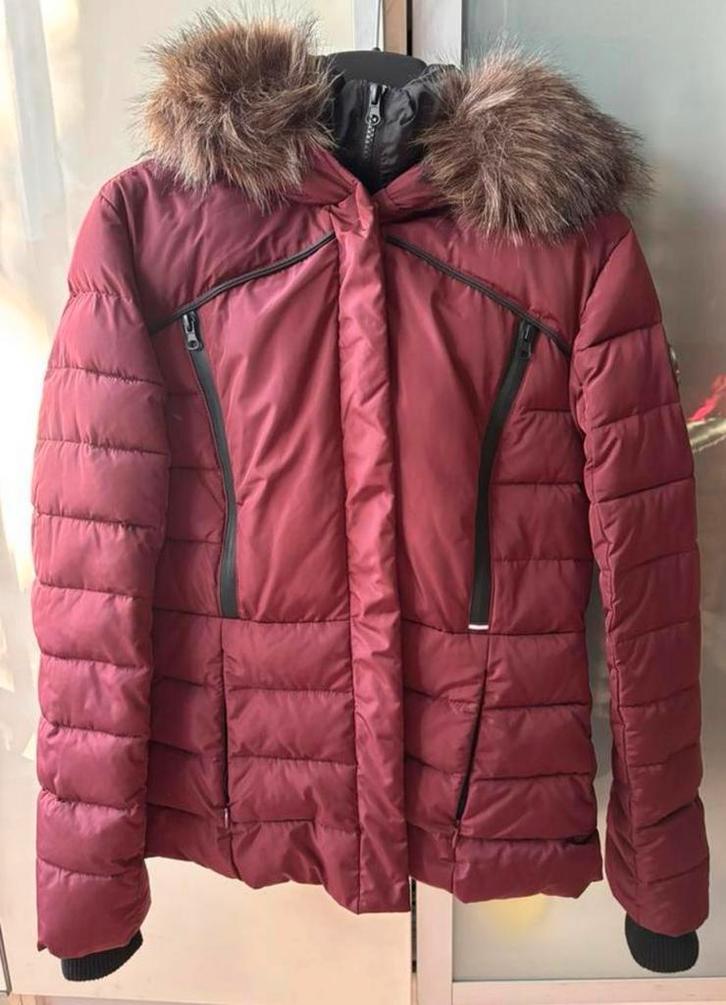 Superdry dames jas bordeauxrood maat M origineel, Kleding | Dames, Jassen | Winter, Zo goed als nieuw, Maat 38/40 (M), Rood, Ophalen