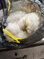 Schapen wol, Ophalen, Zo goed als nieuw, Spinwol