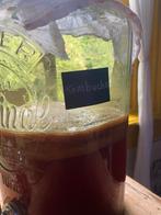 Scoby kombucha met startersvloeistof/ kefir en zuurdesems, Ophalen