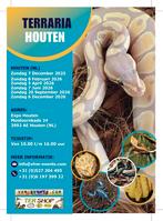 Terraria&Exoknaag Houten 08-02-2026 Benelux Grootste, Dieren en Toebehoren, Reptielen en Amfibieën, Hagedis, 0 tot 2 jaar