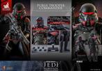 Hot Toys Star Wars Jedi Survivor Purge Trooper Commander, West Campus 1 76863 Herxheim (DE), Actiefiguur of Pop, Heo GmbH, Nieuw