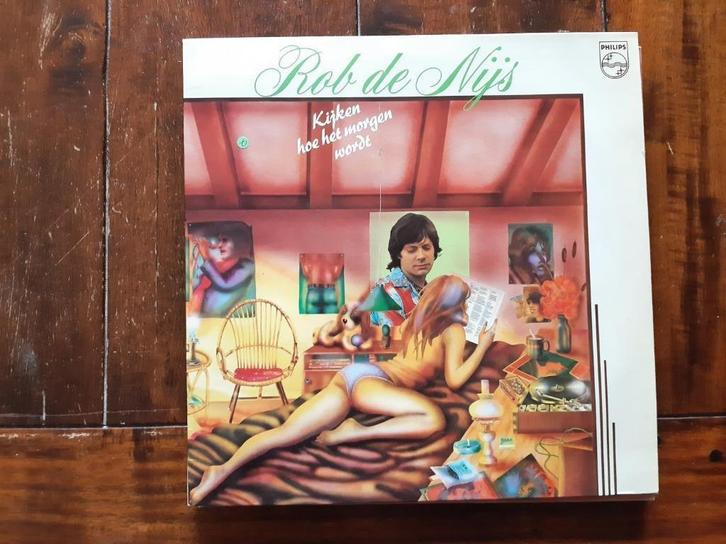 LP Rob de Nijs / Kijken hoe het morgen wordt (1975), Cd's en Dvd's, Vinyl | Nederlandstalig, Gebruikt, Pop, 12 inch, Ophalen of Verzenden