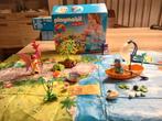 Playmobil 9330 – Feeënwereld, Ophalen, Zo goed als nieuw, Complete set