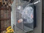 Hamster kooi, Kooi, Gebruikt, Minder dan 75 cm, Hamster