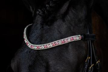 L'Anique Click&Go Frontriem Candy beschikbaar voor biedingen