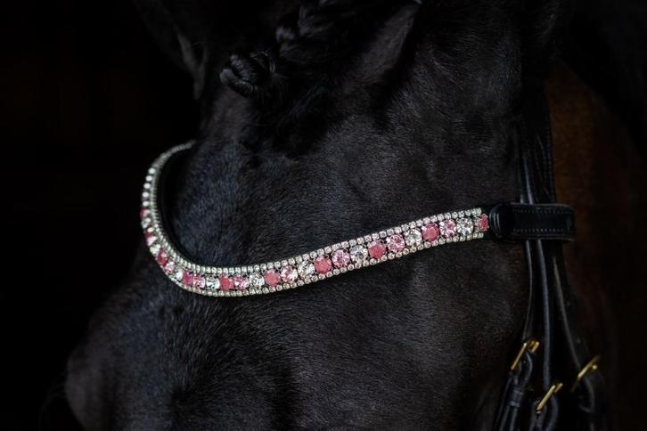 L'Anique Click&Go Frontriem Candy, Dieren en Toebehoren, Paarden en Pony's | Hoofdstellen en Tuigage, Nieuw, Dressuur, Ophalen of Verzenden