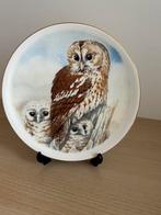 Vintage uil bord, Ophalen of Verzenden