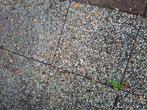 GRATIS beton-/ terras-/ tuin/ grindtegels 50x50cm, Tuin en Terras, Ophalen, Gebruikt, Beton, Terrastegels