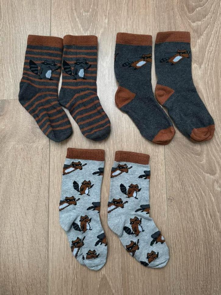 Wasbeer sokken 3 paar maat 27/30, Kinderen en Baby's, Kinderkleding | Schoenen en Sokken, Zo goed als nieuw, Sokken, Jongen, Ophalen of Verzenden